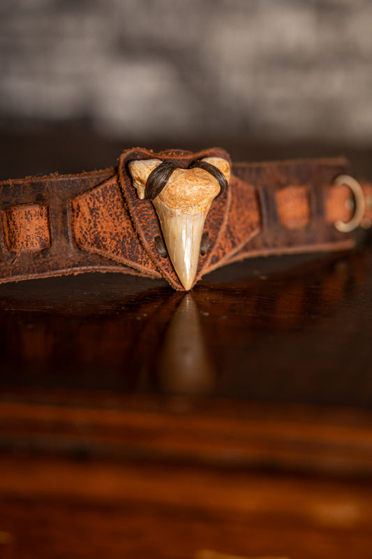 Leather Shark Tooth Cuff Bracelet
